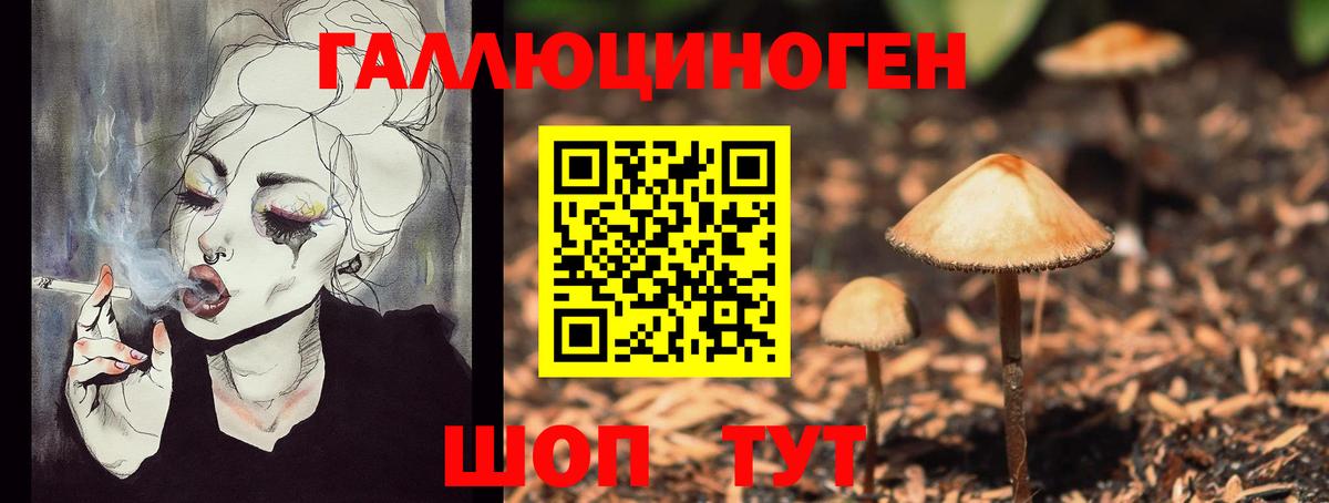 Куйбышев  Галлюциногенные грибы Psilocybe  Псилоцибиновые грибы Psilocybine cubensis  Вход с VPN 