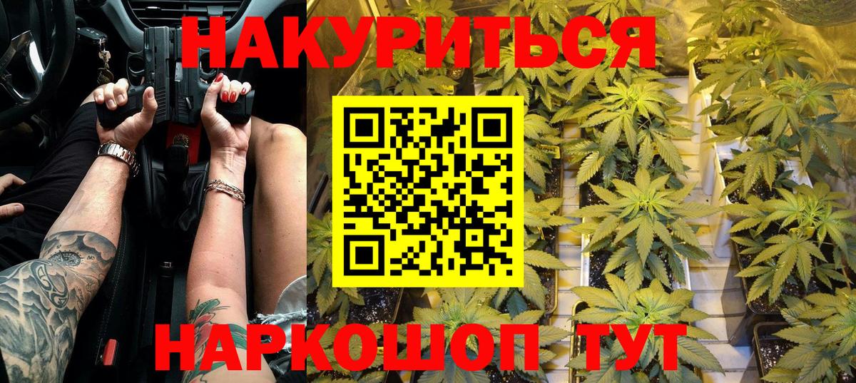 Бошки марихуана планчик  Вход с VPN  Марихуана Bruce Banner  Куйбышев  МАРИХУАНА тримм 
